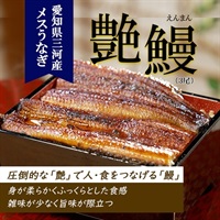 幻のメス鰻　艶鰻（えんまん）３尾セット
