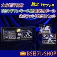限定1セット！大谷翔平打席 2024年 実使用ボール 額装セット ワールドシリーズ ヤンキース戦