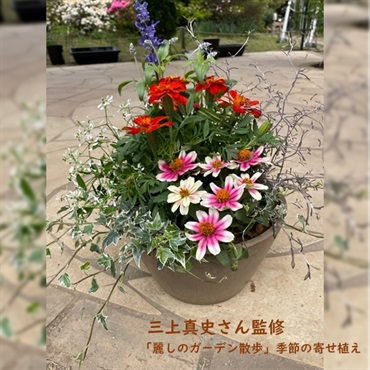 三上真史さん監修  「ＢＳ日テレ 麗しのガーデン散歩」季節の寄せ植え