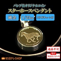 スターホース1/25ozペンダント  スライドチェーン付　※電話注文のみ受付