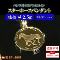 スターホース2.5g ペンダント スライドチェーン付　※電話注文のみ受付
