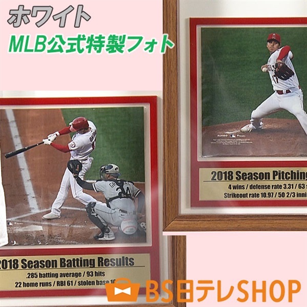 各色世界限定17セット 大谷翔平選手直筆サイン入り！ ルーキー