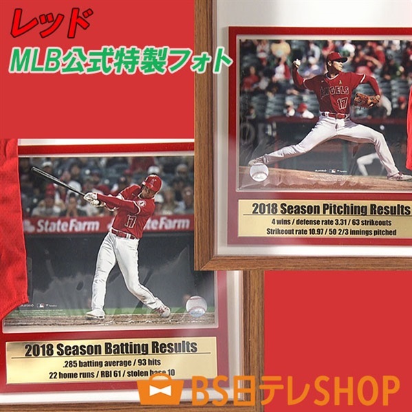 各色世界限定17セット 大谷翔平選手直筆サイン入り！ ルーキー