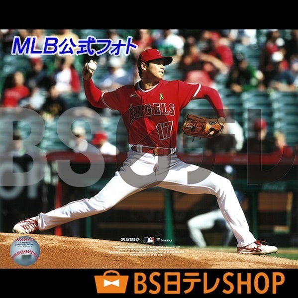2018年】世界限定17セット 大谷翔平 ルーキーイヤー直筆サイン入り