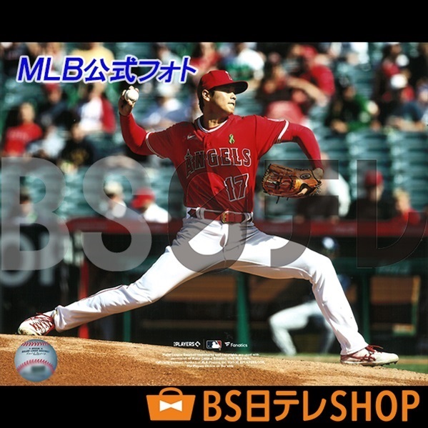 世界限定17セット 大谷翔平×イチロー ルーキーイヤーダブル直筆
